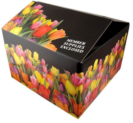 Tái chế Tuck Top Box Hành nghề giấy bìa bìa giấy bìa hộp carton