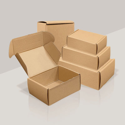 Bao bì Thiết kế tùy chỉnh Kraft giấy hộp lốp hộp bưu điện bao bì